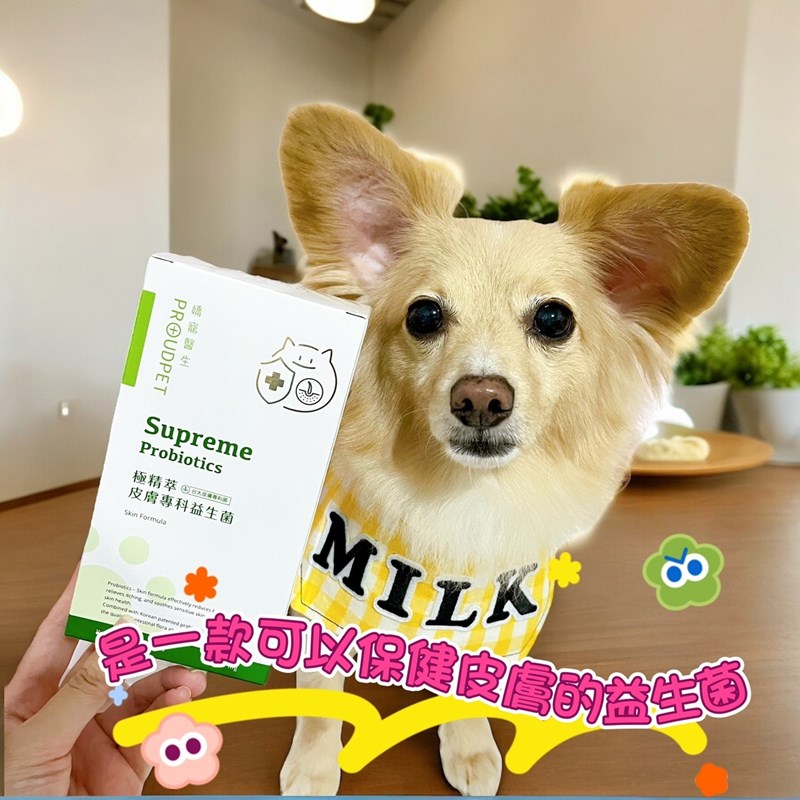 試用